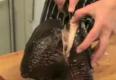 How to Carve Turkey